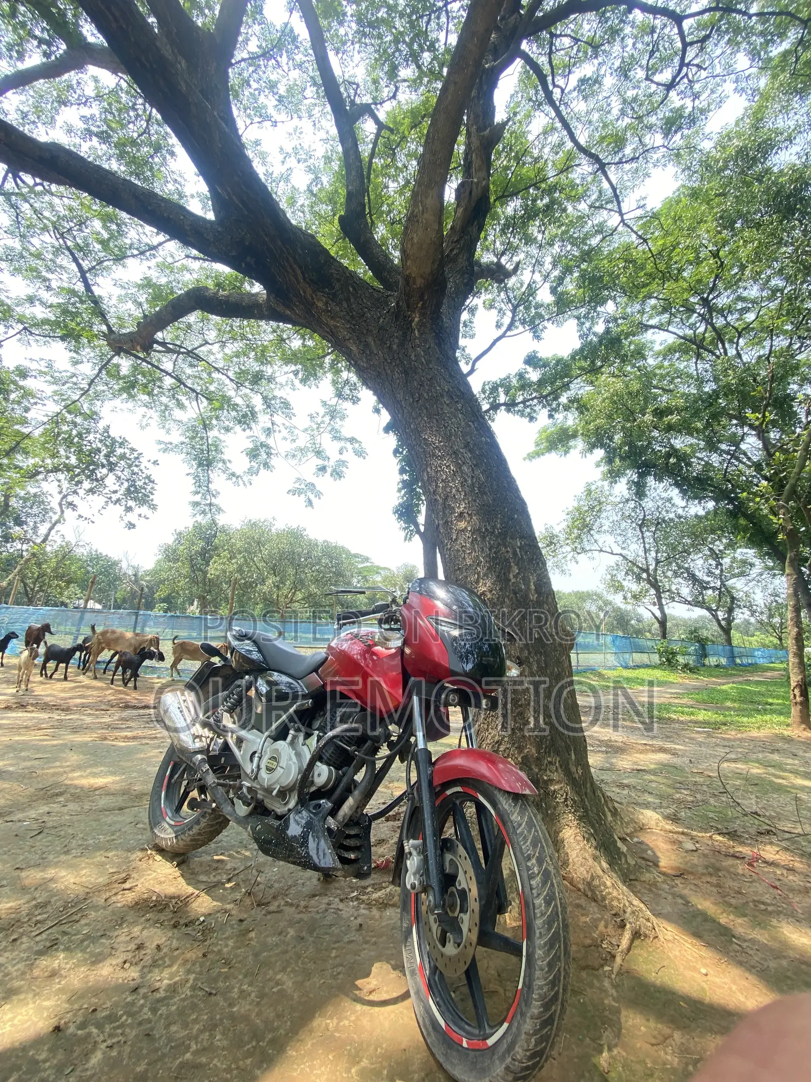 Bajaj Pulsar 150 2014 Red