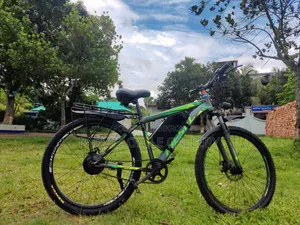 Electric Bicycle – LFP Battery, 45-50km Range |