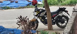 Yamaha FZ 2011 Black