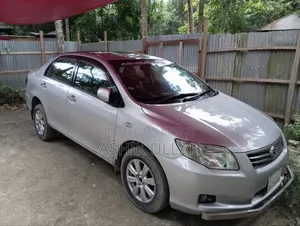 Toyota Axio 2011 Silver