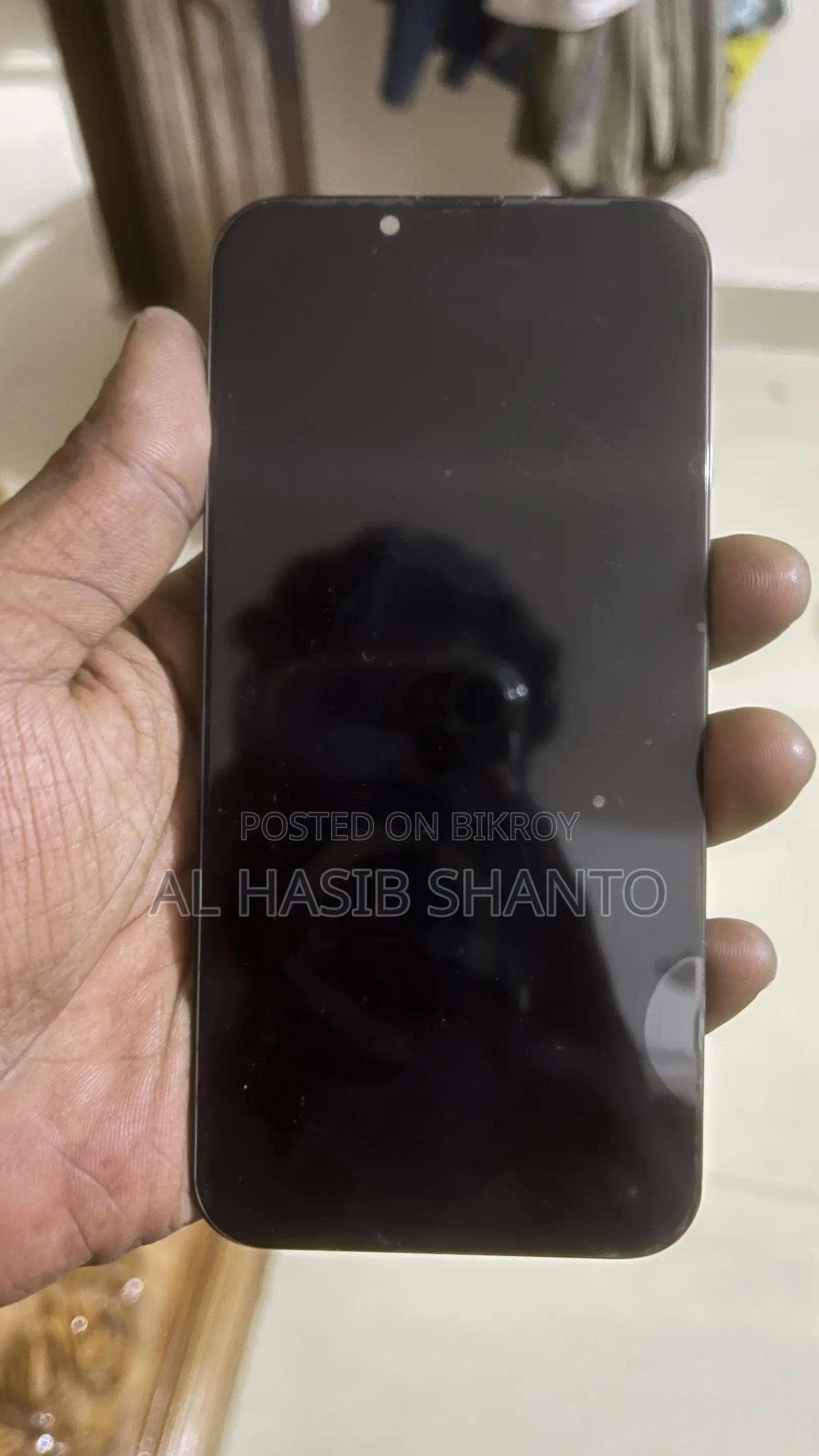 iPhone 13 Display