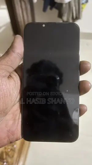 iPhone 13 Display
