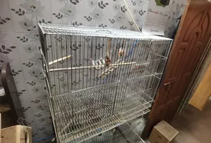 খাঁচা বিক্রি করা হবে