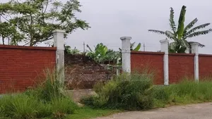 3 Katha in Sector 26 on 54 ft Road