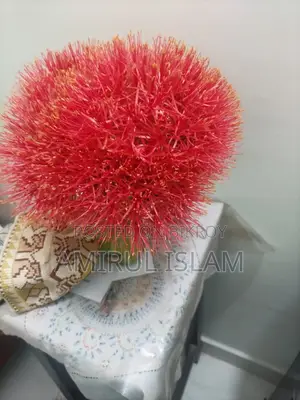 মে ফ্লাওয়ার চারা