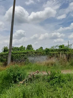 Sector-21, Road-315, Land-3 Katha