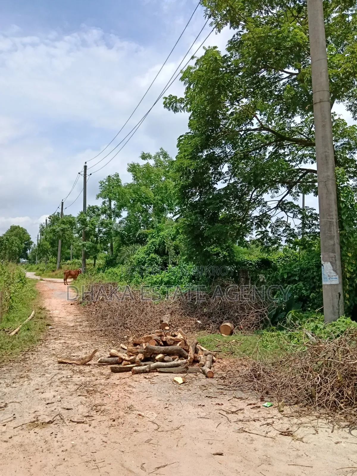 Sector-21, Road-315, Land-3 Katha