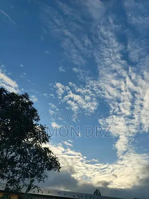 Infinix Hot 60 Pro+ ১২৮ জিবি সিলভার