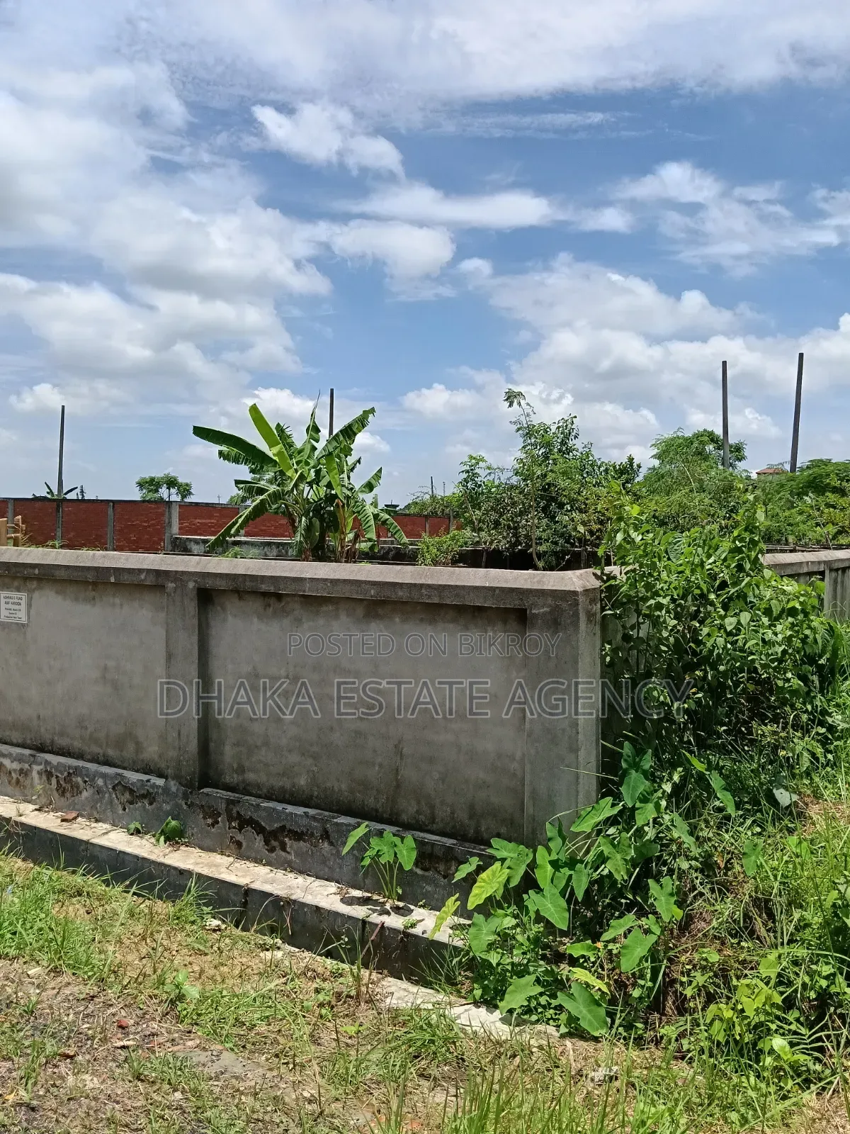সেক্টর-২৩, বক্স কর্নার ৩ কাঠা