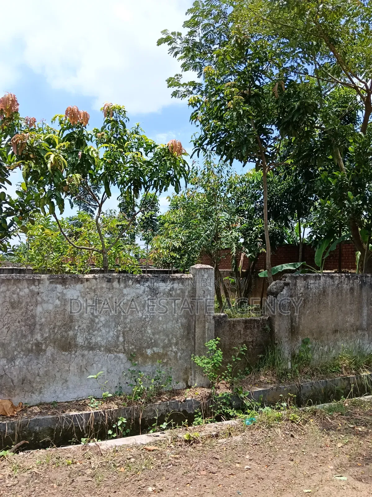 সেক্টর-২৩, বক্স কর্নার ৩ কাঠা