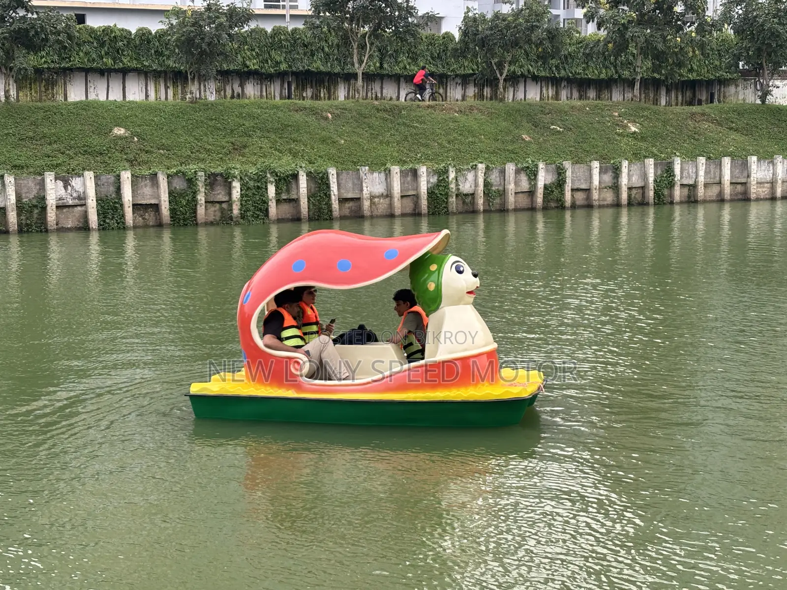 Micky Mouse Paddle Boat