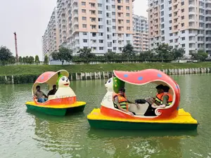 Micky Mouse Paddle Boat