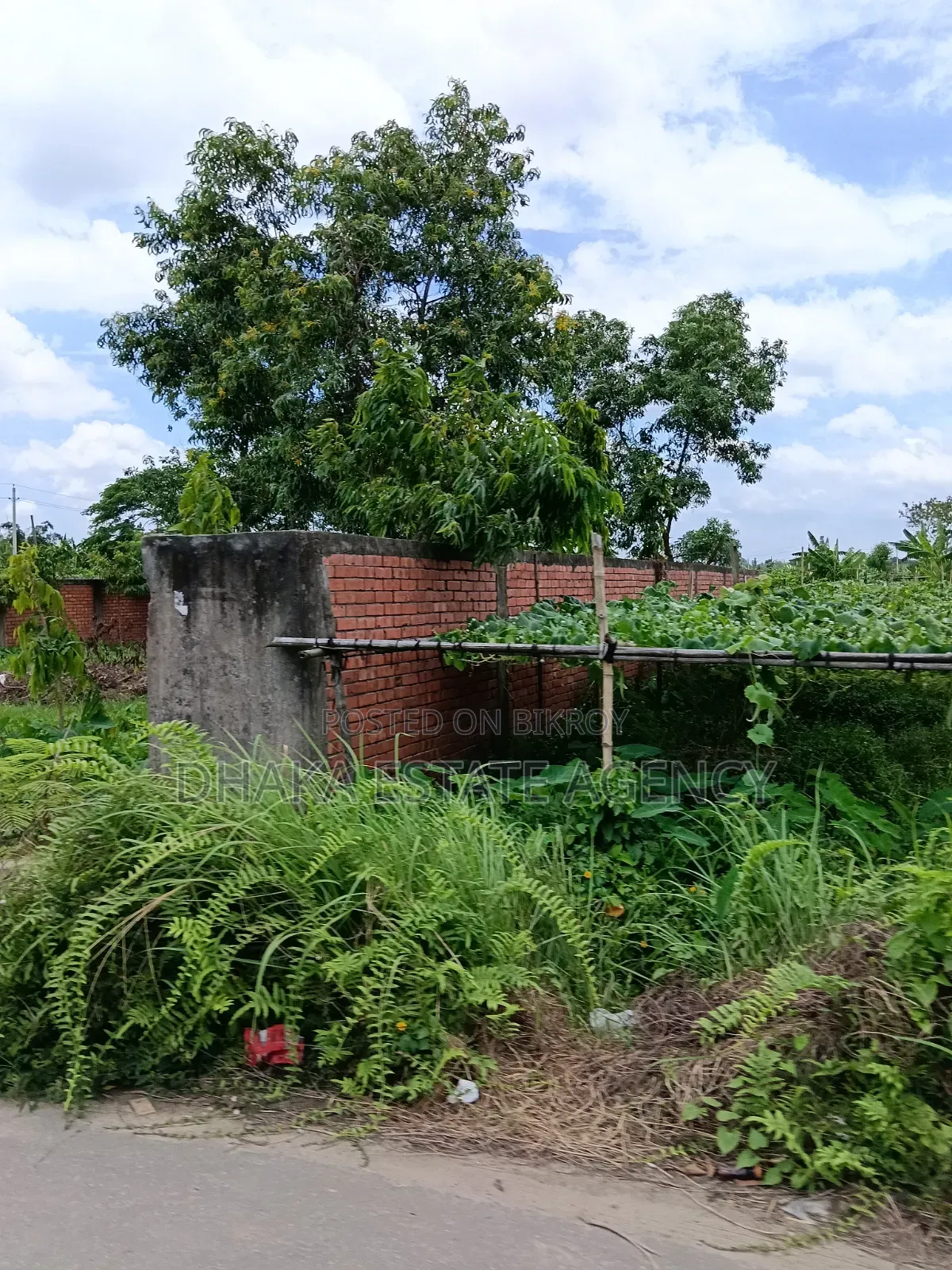সেক্টর-২৩, দক্ষিণমুখী ৩ কাঠা প্লট বিক্রয় হবে