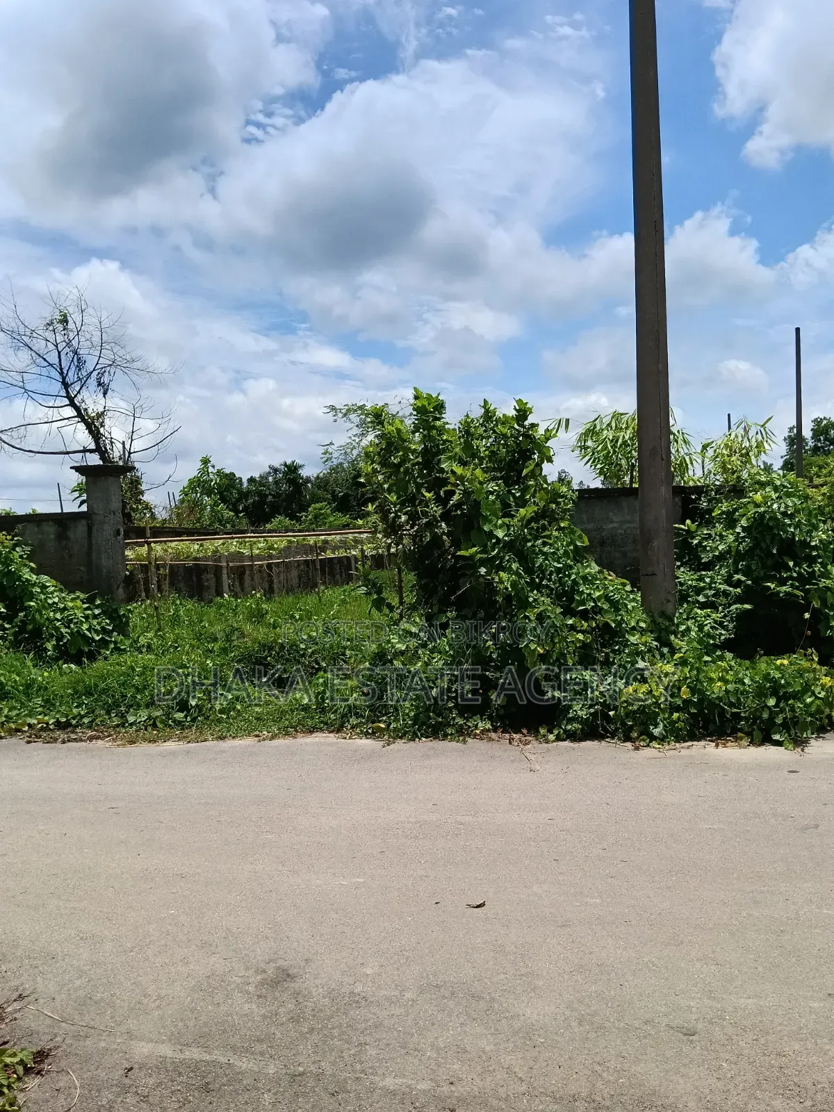Sector-15, 5 Katha Plot Sale