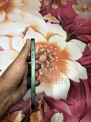Apple iPhone 13 128 GB Green