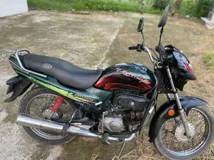Hero Passion Pro 2011 Green