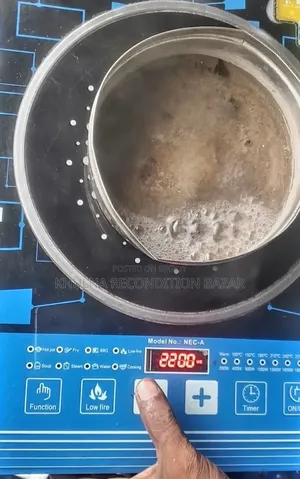 Noah Induction Fresh Cooker