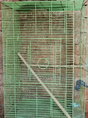 Bird Cage(Love Bird)