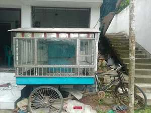 Food Van SS
