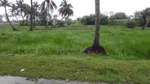 ৪ কাঠা প্লট