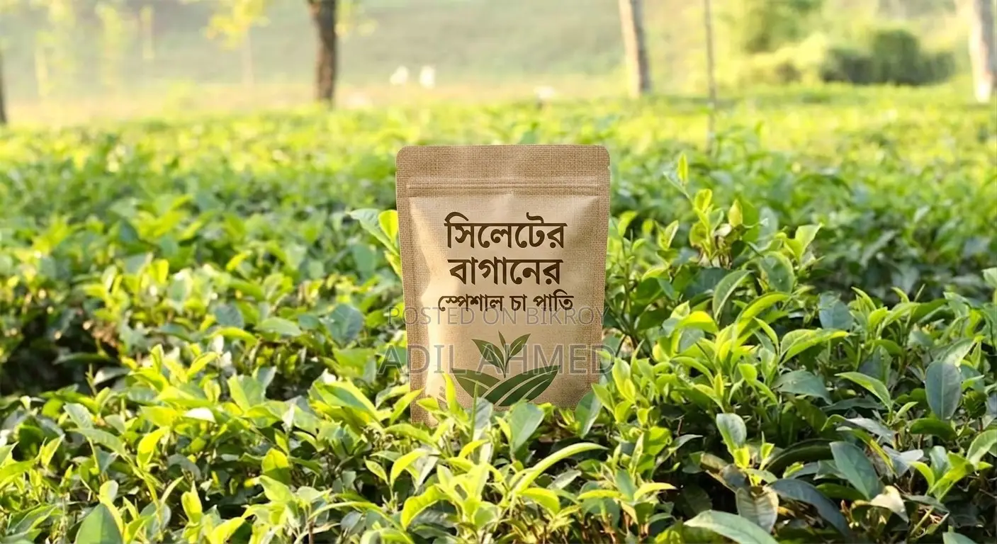 সিলেটের বাগানের চা পাতি