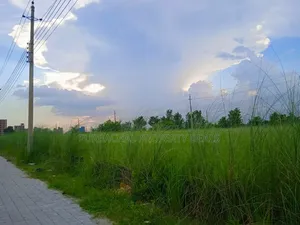 5 Katha Prime Plot for Sale in Bashundhara I-Ext!