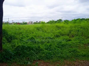 Bashundhara N Block-এ ৫ কাঠার প্রিমিয়াম প্লট বিক্রি