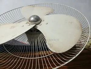 পাকিস্তানি ওয়াল ফ্যান