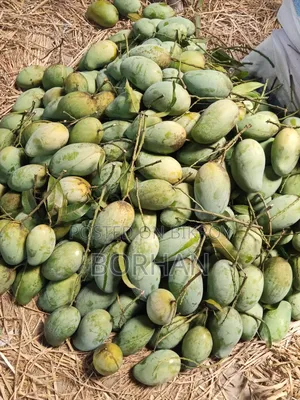 Have you tasted the premium quality A-grade Amrapali mangoes of the season?