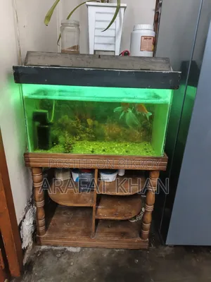 Aquarium