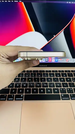 New Apple iPhone 16 Pro Max 1 TB Gold
