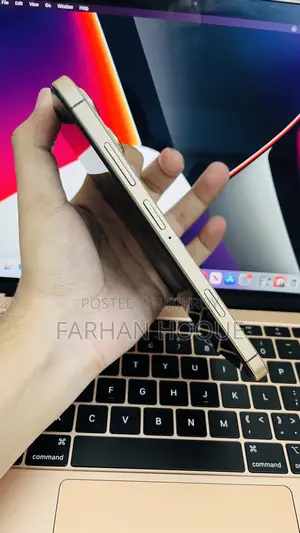 New Apple iPhone 16 Pro Max 1 TB Gold
