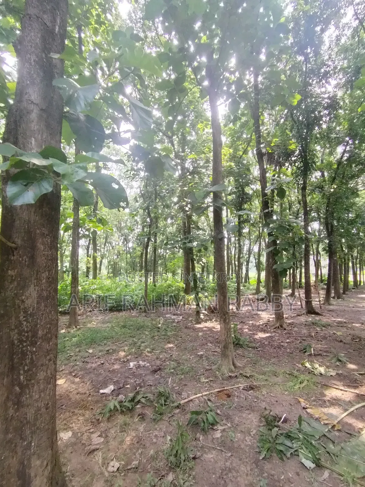 ৩৫০ শতাংশ জমি জরুরী ভিত্তিতে বিক্রয়