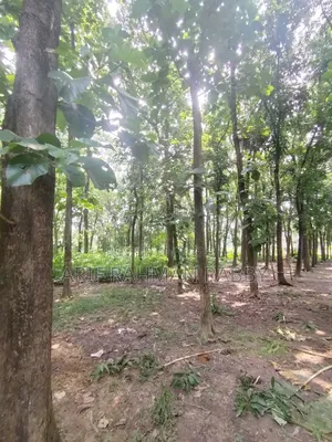 ৩৫০ শতাংশ জমি জরুরী ভিত্তিতে বিক্রয়