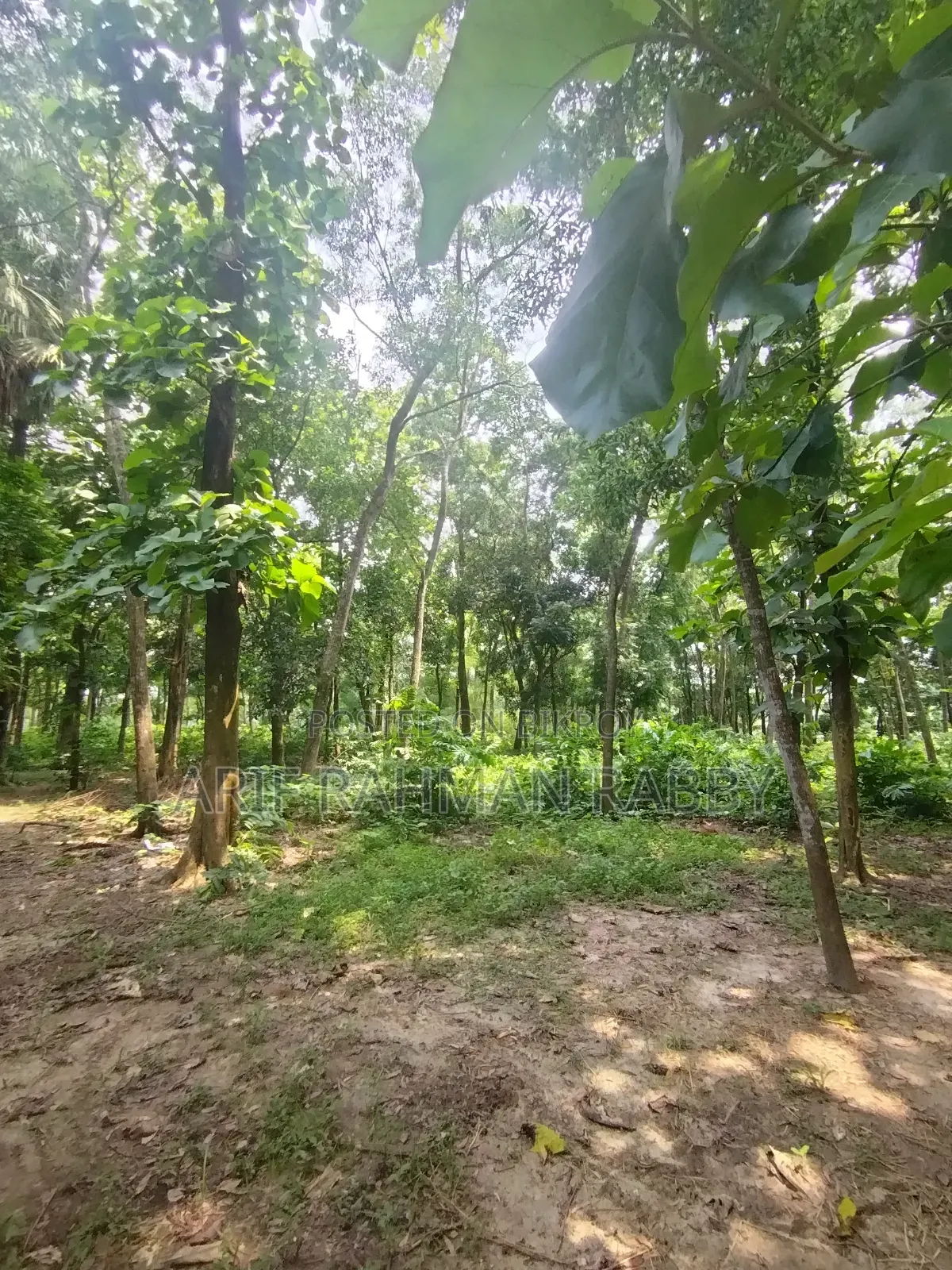 ৩৫০ শতাংশ জমি জরুরী ভিত্তিতে বিক্রয়