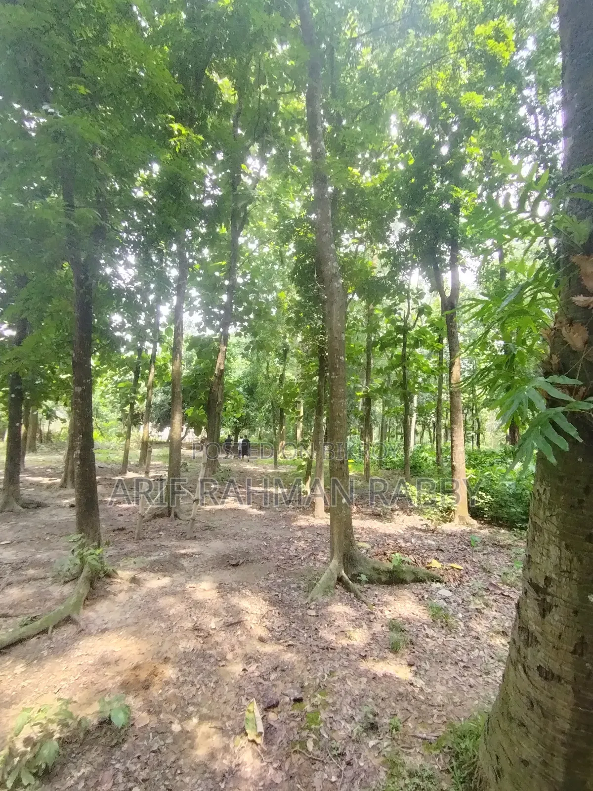 ৩৫০ শতাংশ জমি জরুরী ভিত্তিতে বিক্রয়