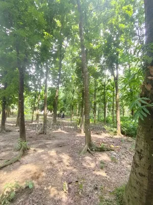 ৩৫০ শতাংশ জমি জরুরী ভিত্তিতে বিক্রয়