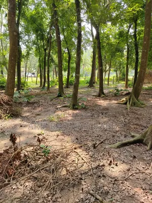 ৩৫০ শতাংশ জমি জরুরী ভিত্তিতে বিক্রয়