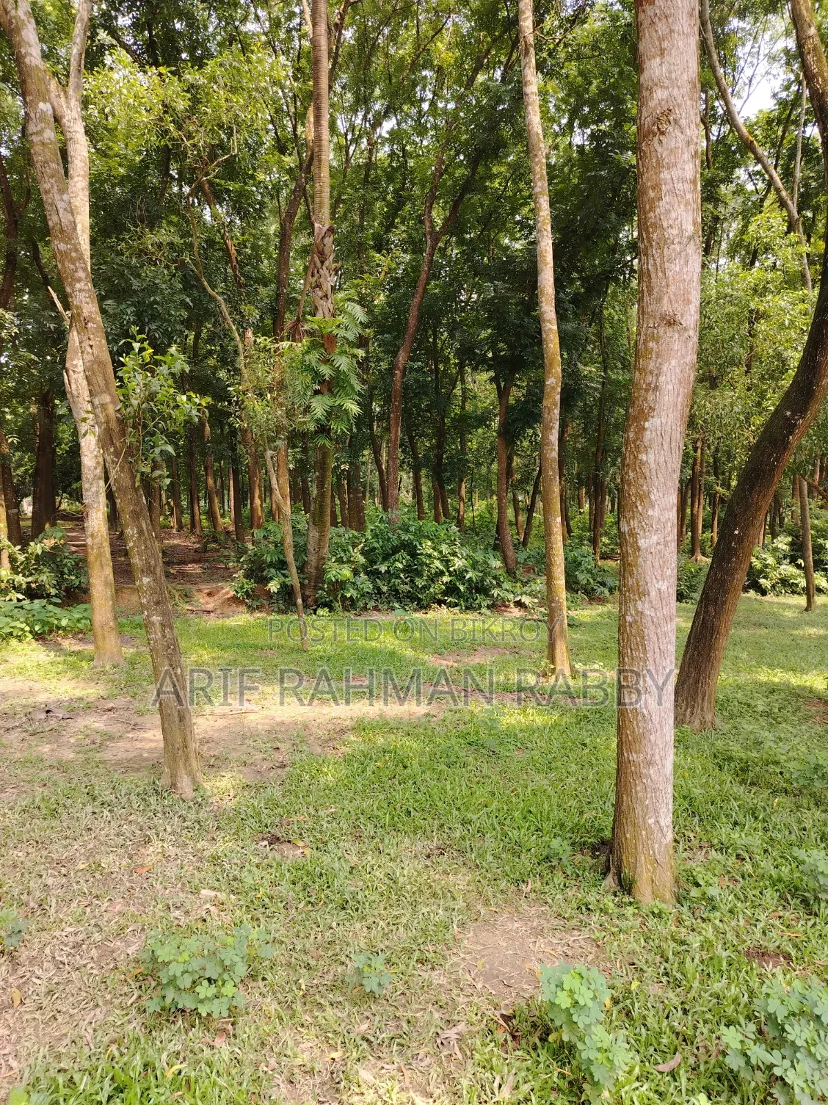 ৩৫০ শতাংশ জমি জরুরী ভিত্তিতে বিক্রয়