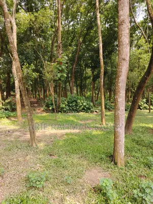 ৩৫০ শতাংশ জমি জরুরী ভিত্তিতে বিক্রয়
