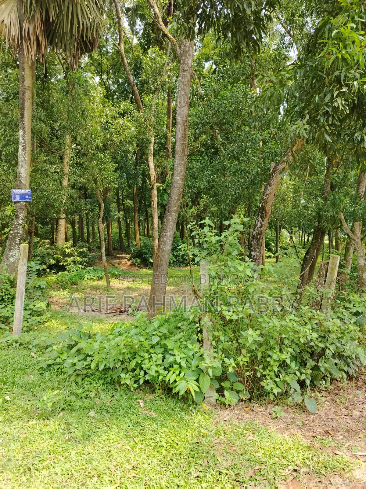 ৩৫০ শতাংশ জমি জরুরী ভিত্তিতে বিক্রয়