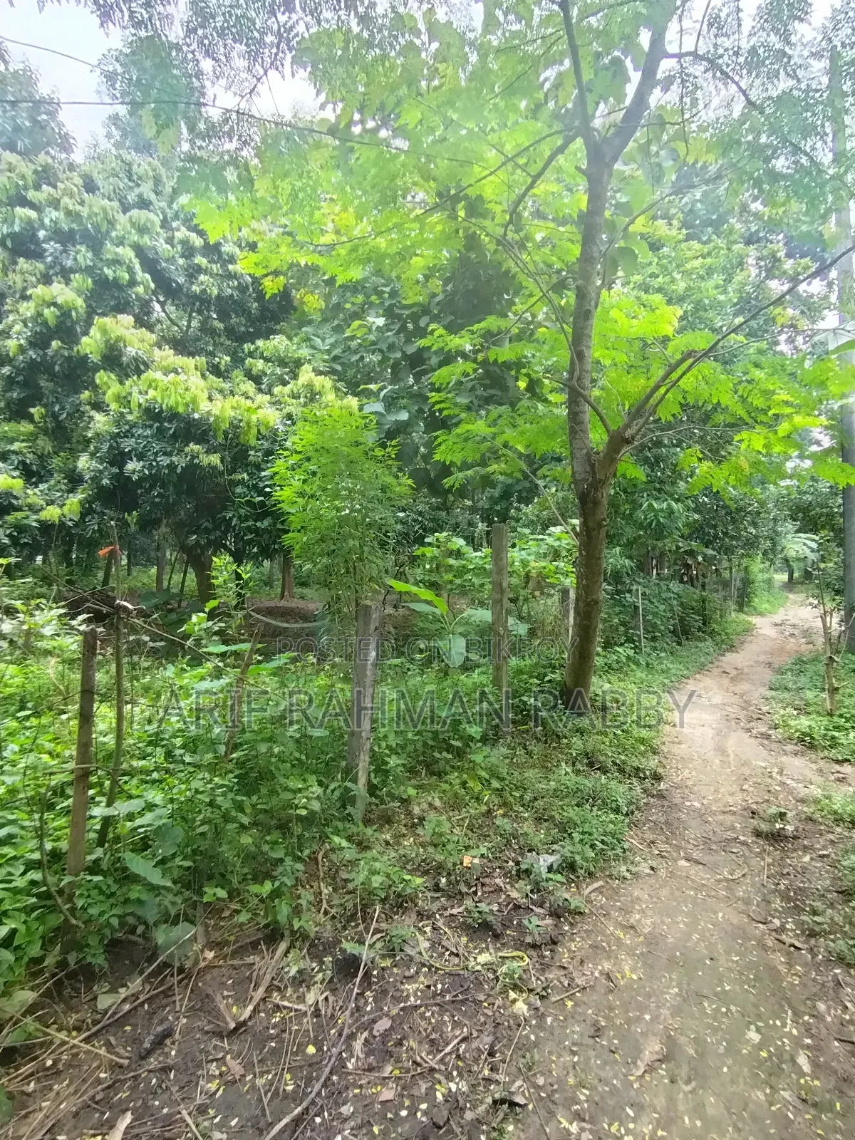 ৩৫০ শতাংশ জমি জরুরী ভিত্তিতে বিক্রয়