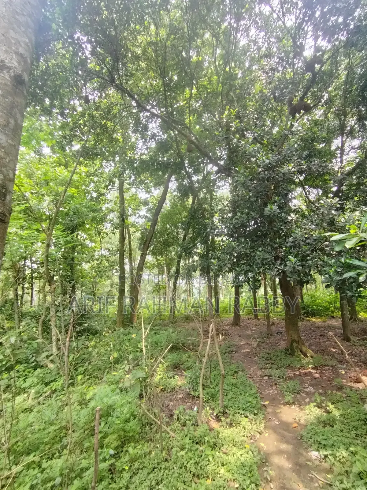 ৩৫০ শতাংশ জমি জরুরী ভিত্তিতে বিক্রয়