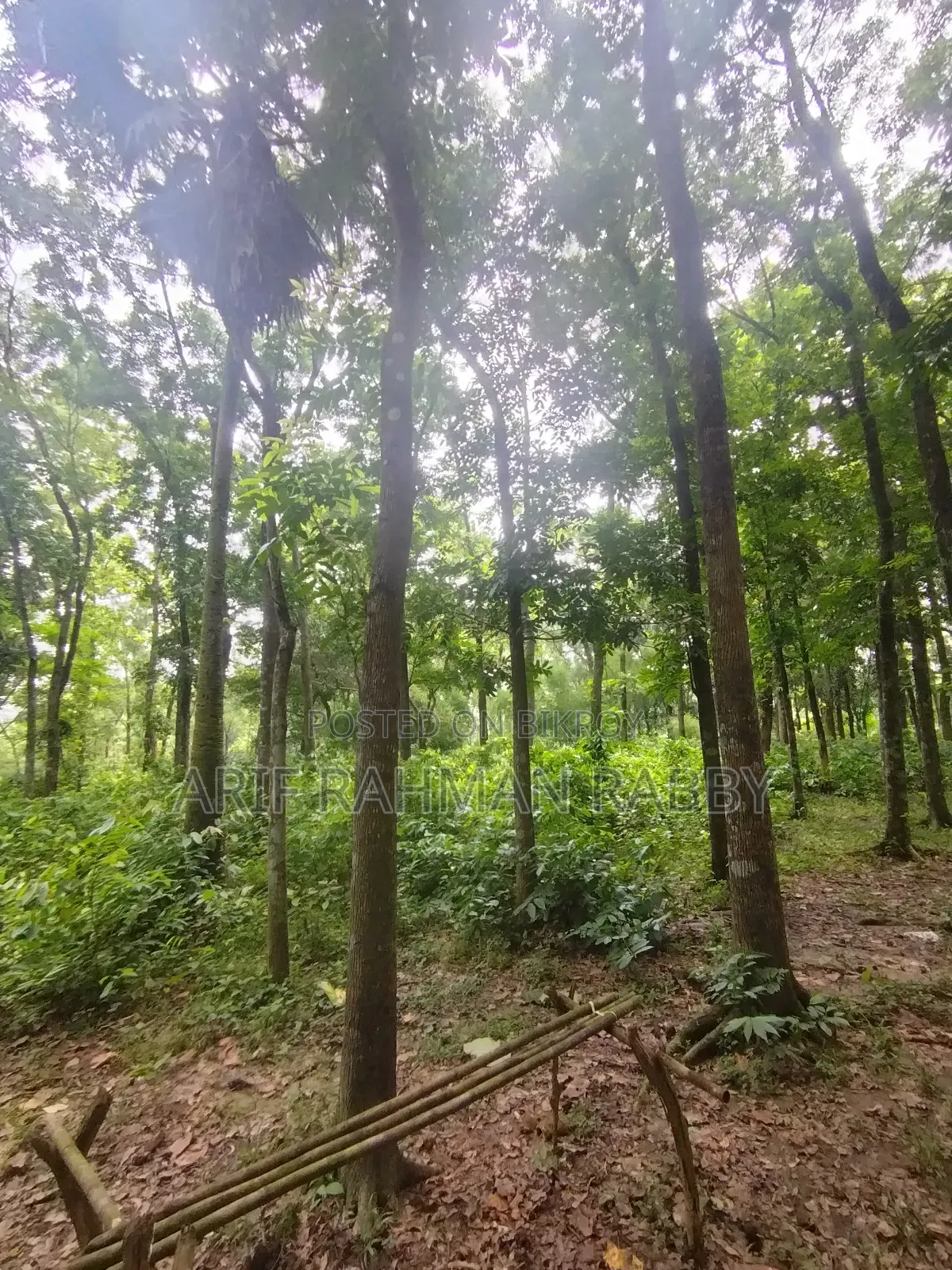 ৩৫০ শতাংশ জমি জরুরী ভিত্তিতে বিক্রয়