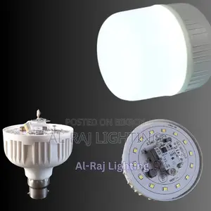 Motion Sensor LED Bulb for Pets House | Auto On-Off Smart Light