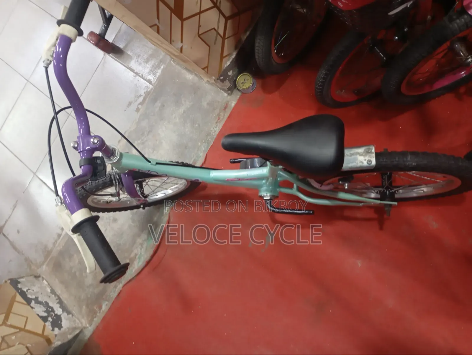 16" Cycle Duranta