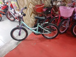 16" Cycle Duranta