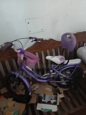 Cycle Used for 1 Year, Needs Air in Tires and Seat Tightening