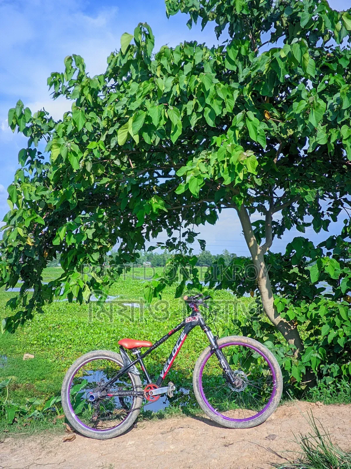 Veloce Stunt Cycle