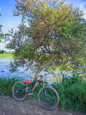 Veloce Stunt Cycle